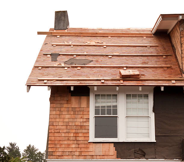 Affordable Siding Repair and Maintenance Services in Maitland, FL